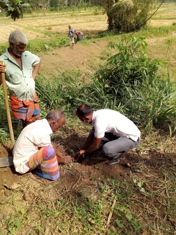 නිදහස් දින සැමරුම - 2021